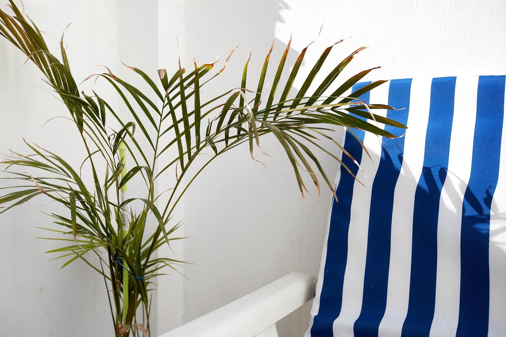 La Caleta Apartment ลากาลาเดมิฮาส ภายนอก รูปภาพ